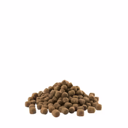 Versele-Laga Adult Skin Care Mini 2.5kg 2,5 kg Adulte Poulet