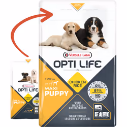 Versele-Laga Puppy Maxi 12,5 kg Chiot
