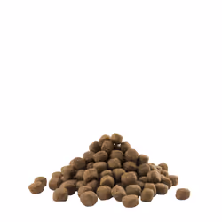 Versele-Laga Puppy Maxi 12,5 kg Chiot
