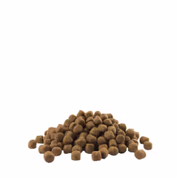 Versele-Laga Puppy Medium 2.5kg 2,5 kg Chiot Poulet