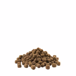 Versele-Laga Opti Life Senior Mini 7,5kg Adulte Riz, Saumon
