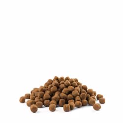 Versele-Laga Puppy Sensitive All Breeds 12,5 kg Chiot Saumon