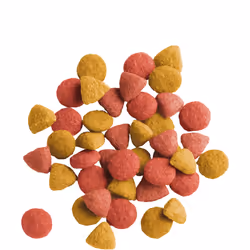 Versele-Laga Adult Sterilized croquette pour chat 10 kg Adulte