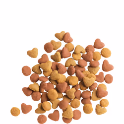 Versele-Laga Junior 350g croquette pour chat Chatons Poulet