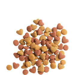Versele-Laga Junior 12m croquette pour chat 2 kg Chatons Poulet