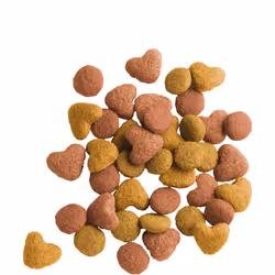 Versele-Laga Lara Senior croquette pour chat 2 kg Poulet, Dinde
