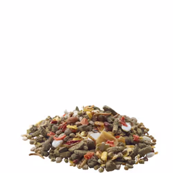 Versele-Laga Gerbil Nature Graines 700 g Gerbille
