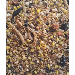 Versele-Laga 5410340641170 aliment pour oiseaux sauvages Mixture 2,5 kg Universel