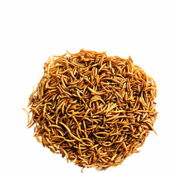 Versele-Laga 5410340641262 aliment pour oiseaux sauvages Ver de farine 300 g
