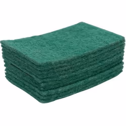 Tampon abrasif vert professionnel grand modèle x10