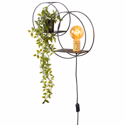 Lucide 21225/01/30