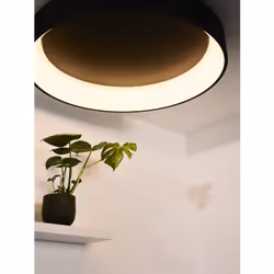 Lucide 46100/80/30 non classé