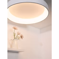 Lucide 46100/80/31 non classé