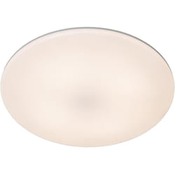 OLSON Plafonnier SdBain-Opalin