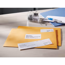 DYMO LW - Étiquettes d'adresse grand format - 36 x 89 mm - S0722390 - Vue supplémentaire 4