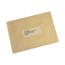 DYMO LW - Étiquettes d'adresse grand format - 36 x 89 mm - S0722410