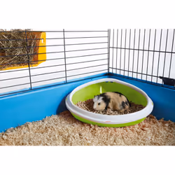 Nobby Concha, Chat, Toilettes ouvertes pour animaux de compagnie, Vert, Blanc, 360 mm, 265 mm, 155 mm
