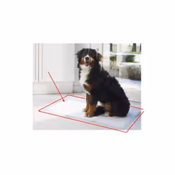 Tapis de propreté pour chien et chat. Le tapis de propreté et d’incontinence Confort Pads est hyper absorbant pour l’urine de ...