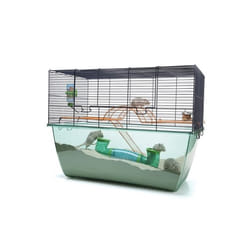 Nobby 20519 cage et niche pour petits animaux Hamster, Souris Noir, Bleu