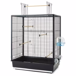 Cage pour oiseaux open Nobby Pet Primo 60