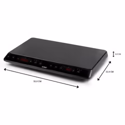 Domo DO338IP plaque Noir Comptoir 55 cm Plaque avec zone à induction 2 zone(s)