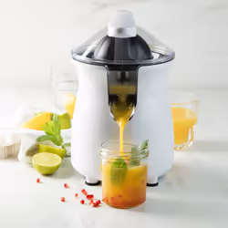 Domo DO9269J Presse-tomate éléctrique 160 W Blanc