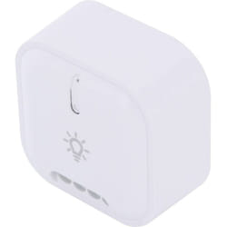 Module d'éclairage On/Off - 1000W DIO 54855 Fréquence (détails) 433 MHz