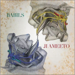 Alive AG Ji Ameeto Vinyl Rock 30 cm Babils