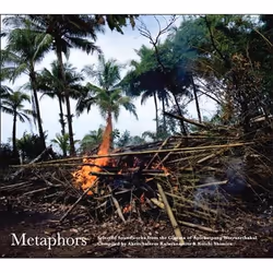 Alive AG Metaphors / Selected Soundworks of Apichatpong Weerasethakul (2LP), Bande son, Vinyl, OST / Apichatpong Weerasethaku ...