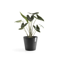 Ecopots Amsterdam Anthracite Plastique 1 pièce(s)