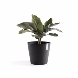 Ecopots Amsterdam, Anthracite, Plastique, 40 cm, 250 mm, 3,9 kg, 1 pièce(s)
