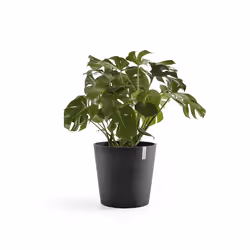 Ecopots Amsterdam, Anthracite, Plastique, 50 cm, 440 mm, 5 kg, 1 pièce(s)