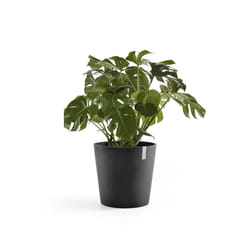 Ecopots Amsterdam Anthracite Plastique 1 pièce(s)