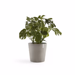 Ecopots Amsterdam, Gris, Plastique, 50 cm, 440 mm, 5 kg, 1 pièce(s)