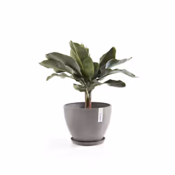 Ecopots Saucer Round Support de pots à roulettes