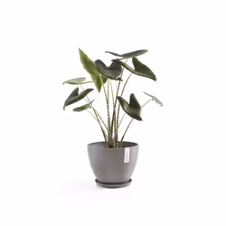 Ecopots Saucer Round Support de pots à roulettes