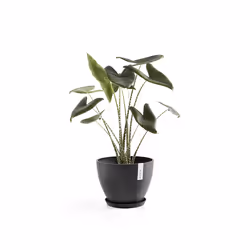 Ecopots Saucer Round Support de pots à roulettes