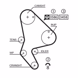 Courroie de distribution GATES 5524XS
