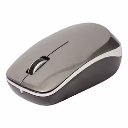 König CSMSTWL100, Ambidextre, Optique, RF sans fil, 1600 DPI, Noir, Gris