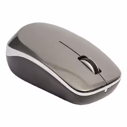 König CSMSTWL100 souris Ambidextre RF sans fil Optique 1600 DPI