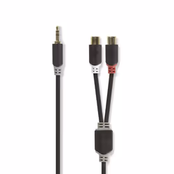 Nedis CABW22250AT02, 3,5mm, 2 x RCA, Aluminium cuivré (CCA), Anthracite