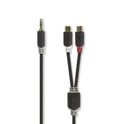 Nedis CABW22250AT02 câble audio 3,5mm 2 x RCA Anthracite
