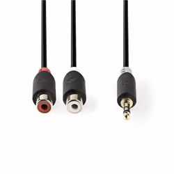 Nedis CABW22250AT02 câble audio 3,5mm 2 x RCA Anthracite