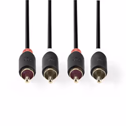 Nedis CABW24200AT30 câble audio 3 m 2 x RCA Anthracite
