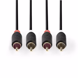 Nedis CABW24200AT100 câble audio 10 m 2 x RCA Anthracite