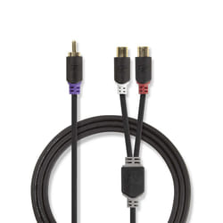 Nedis CABW24010AT02 câble audio RCA 2 x RCA Anthracite