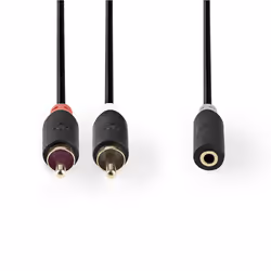 Nedis CABW22255AT02 câble audio 2 x RCA 3,5mm Anthracite