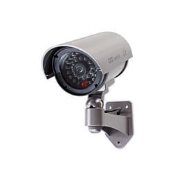 Nedis DUMCB40GY caméra de surveillance factice Gris Cosse