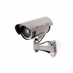 Nedis DUMCB40GY caméra de surveillance factice Gris Cosse