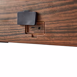 Nedis SPBT35101BN haut-parleur Marron, Noir